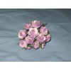 Lilac Tea Roses
